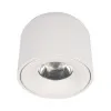 Накладной светильник LOFT IT 10219 White 3000K