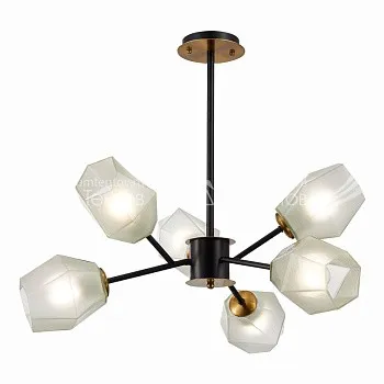 Evoluce SLE205102-06