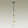 Подвесной светильник Odeon Light 4789/1