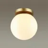 Накладной светильник Odeon Light 4247/1C