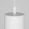 Подвесной светильник Maytoni Technical P075PL-01W