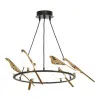 Подвесная люстра Lussole LSP-8641