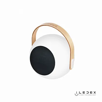 Настольная лампа iLedex EYS0970-CH WH Настольная лампа iLedex EYS0970-CH WH