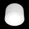 Накладной светильник LOFT IT 10219 White 4000K