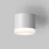 Влагозащищенный светильник Maytoni Technical C087CL-GX53-W Влагозащищенный светильник Maytoni Technical C087CL-GX53-W