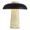 Настольная лампа ST-Luce SL1194.424.01 Настольная лампа ST-Luce SL1194.424.01