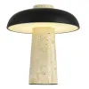 Настольная лампа ST-Luce SL1194.424.01 Настольная лампа ST-Luce SL1194.424.01