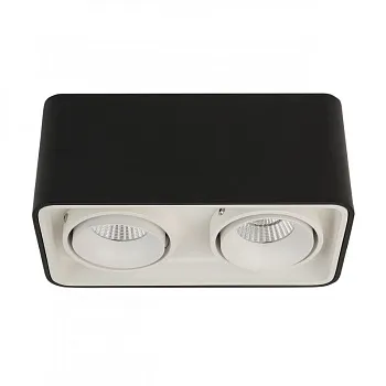 Накладной светильник LeDron TUBING 2 Black/White