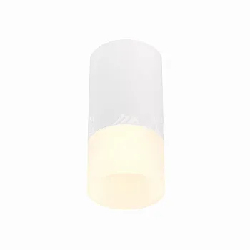 Накладной светильник ST-Luce ST100.512.01