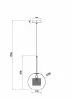Подвесной светильник Freya FR8018PL-01BS