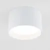 Накладной светильник Elektrostandard Banti 13W 3000K белый (25123/LED)