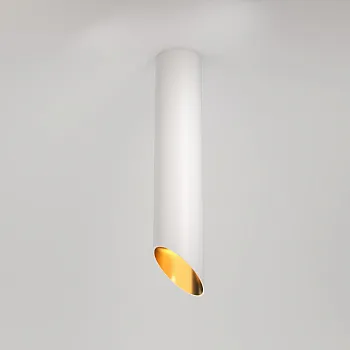 Накладной светильник Maytoni Technical C044CL-01-30GU10-W