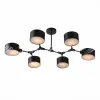 Люстра на штанге Evoluce SLE183402-06 Люстра на штанге Evoluce SLE183402-06