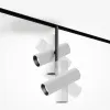 Светильник на шине Maytoni Technical TR005-4-2X12W-DS-BW