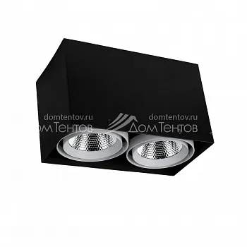 Накладной светильник Favourite 1987-2U