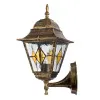 ARTE Lamp A1011AL-1BN