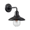 Светильник настенный Odeon Light 4965/1W Светильник настенный Odeon Light 4965/1W