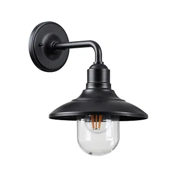 Светильник настенный Odeon Light 4965/1W Светильник настенный Odeon Light 4965/1W