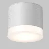 Влагозащищенный светильник Maytoni Technical C087CL-GX53-W Влагозащищенный светильник Maytoni Technical C087CL-GX53-W