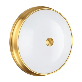 Накладной светильник Odeon Light 4824/4C