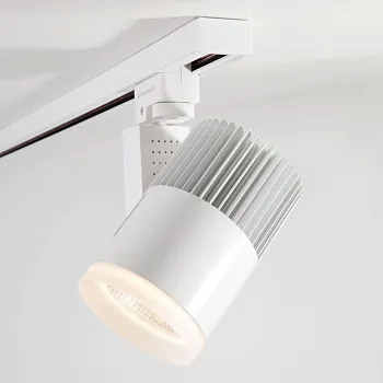 Светильник на шине Elektrostandard Accord Белый 30W 4200K (LTB20)