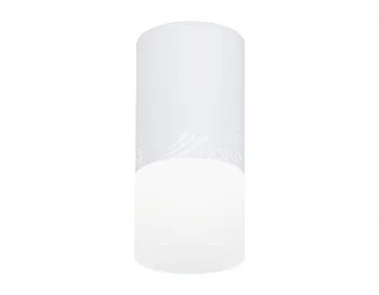 Накладной светильник Ambrella Light TN231