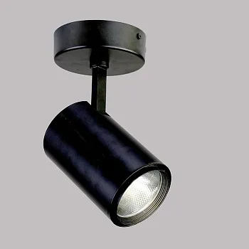 Спот Favourite 1773-1U