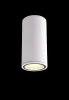 Влагозащищенный светильник Crystal Lux CLT 138C180 WH Влагозащищенный светильник Crystal Lux CLT 138C180 WH