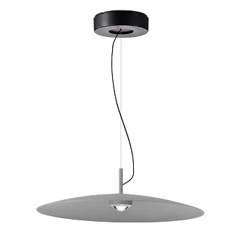 Подвесной светильник Favourite 4412-1P