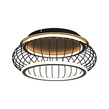 Накладной светильник F-Promo 4435-2C