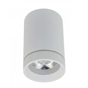 Накладной светильник APLOYT APL.0054.09.10