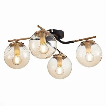 Evoluce SLE106902-04