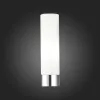 Светильник для картин ST-Luce SL1301.101.01 Светильник для картин ST-Luce SL1301.101.01