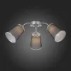 Накладная люстра Evoluce SLE103002-03