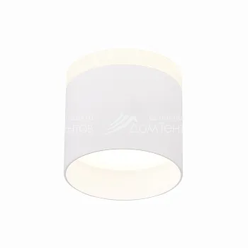 Накладной светильник ST-Luce ST102.542.09