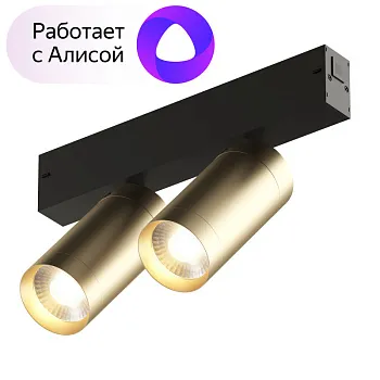 Светильник на шине Denkirs DK8012-BG