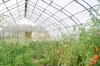 Пленка многолетняя "Светлица 4/150" (7 лет) Пленка многолетняя "Светлица 4/150" (7 лет)