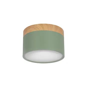 Детский точечный светильник LOFT IT 10162 Green Детский точечный светильник LOFT IT 10162 Green