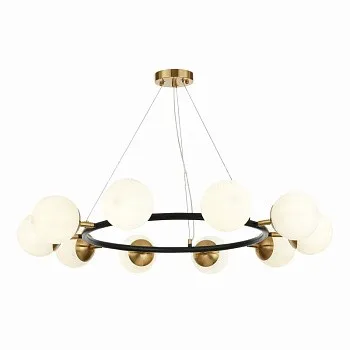 Evoluce SLE220403-10