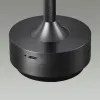Настольная лампа Odeon Light 5034/6TL Настольная лампа Odeon Light 5034/6TL