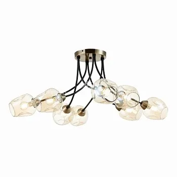 Evoluce SLE205302-08