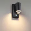 Светильник настенный Odeon Light 6605/1W Светильник настенный Odeon Light 6605/1W