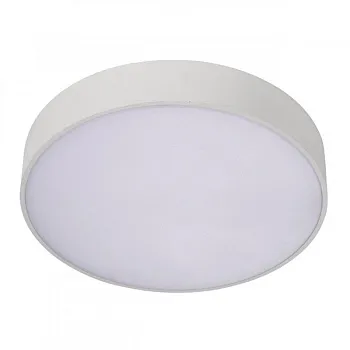 Накладной светильник APLOYT APL.0113.09.18