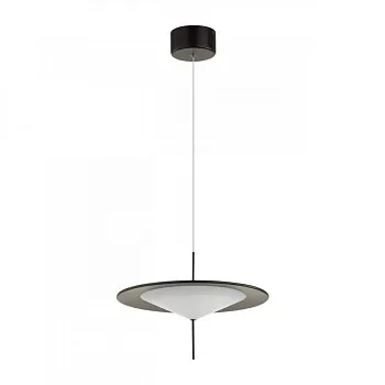 Подвесной светильник Odeon Light 5012/16L