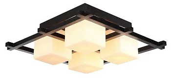 Накладная люстра ARTE Lamp A8252PL-4CK