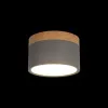 Детский точечный светильник LOFT IT 10162 Grey