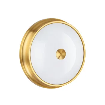 Накладной светильник Odeon Light 4824/3C