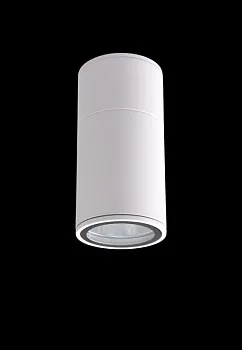 Влагозащищенный светильник Crystal Lux CLT 138C180 WH Влагозащищенный светильник Crystal Lux CLT 138C180 WH