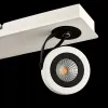 ECO161-03-W