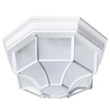 Накладной уличный светильник ARTE Lamp A3100PL-1WH Накладной уличный светильник ARTE Lamp A3100PL-1WH